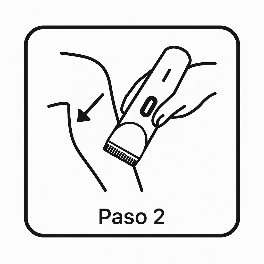 Paso 2